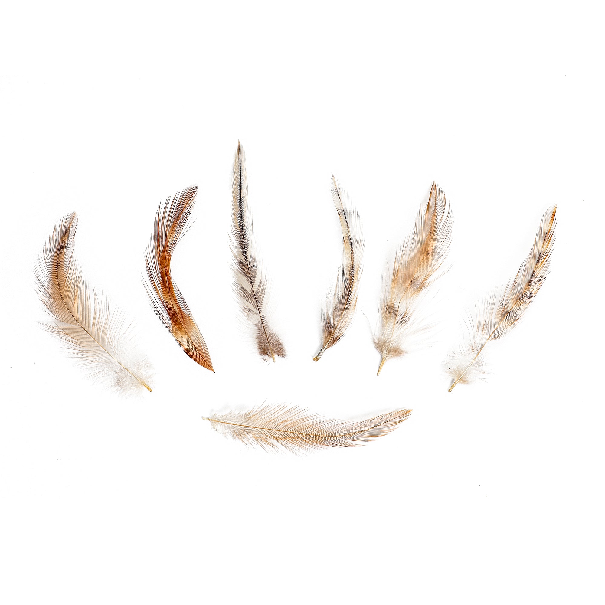 Rooster Feathers, 4 Inch Strip Furnace Red Strung Rooster Neck Hackle  Feathers Craft Supplier : 3905 