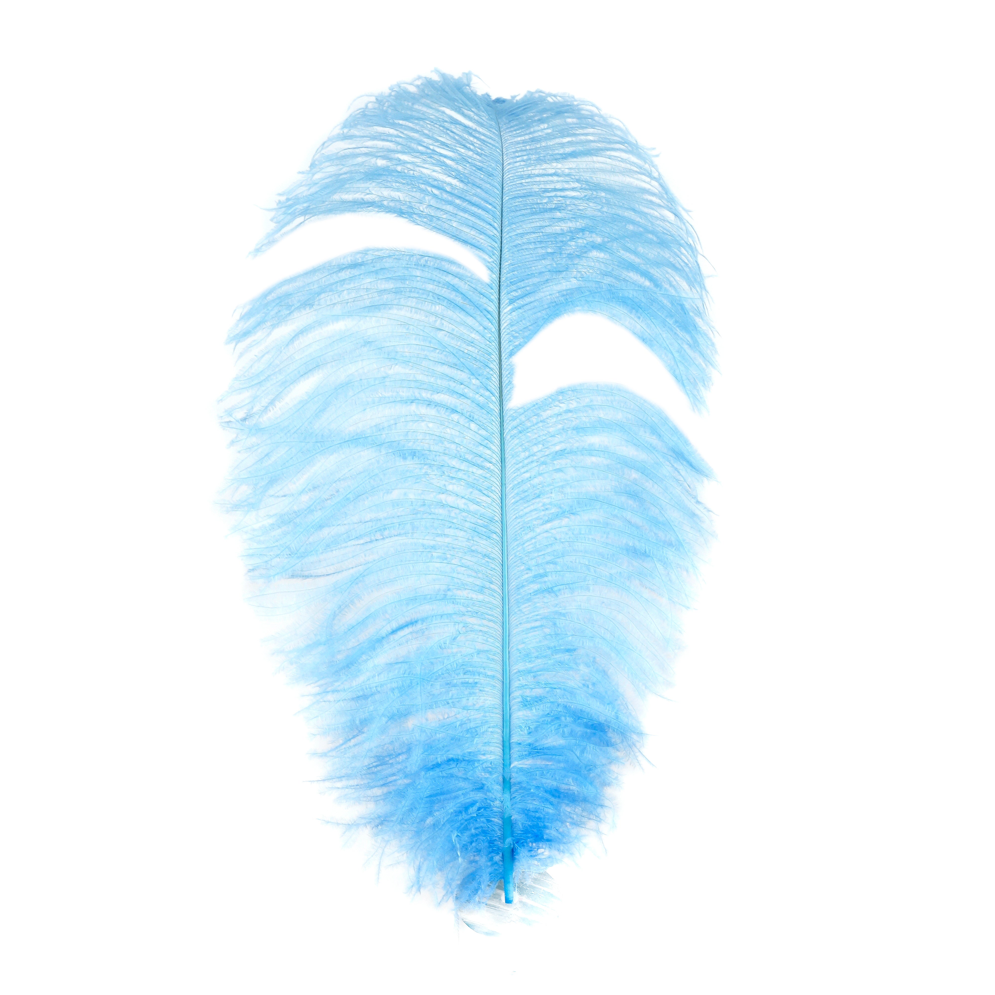 Bulk Ostrich Feathers-Damaged Drabs - Copper –  by