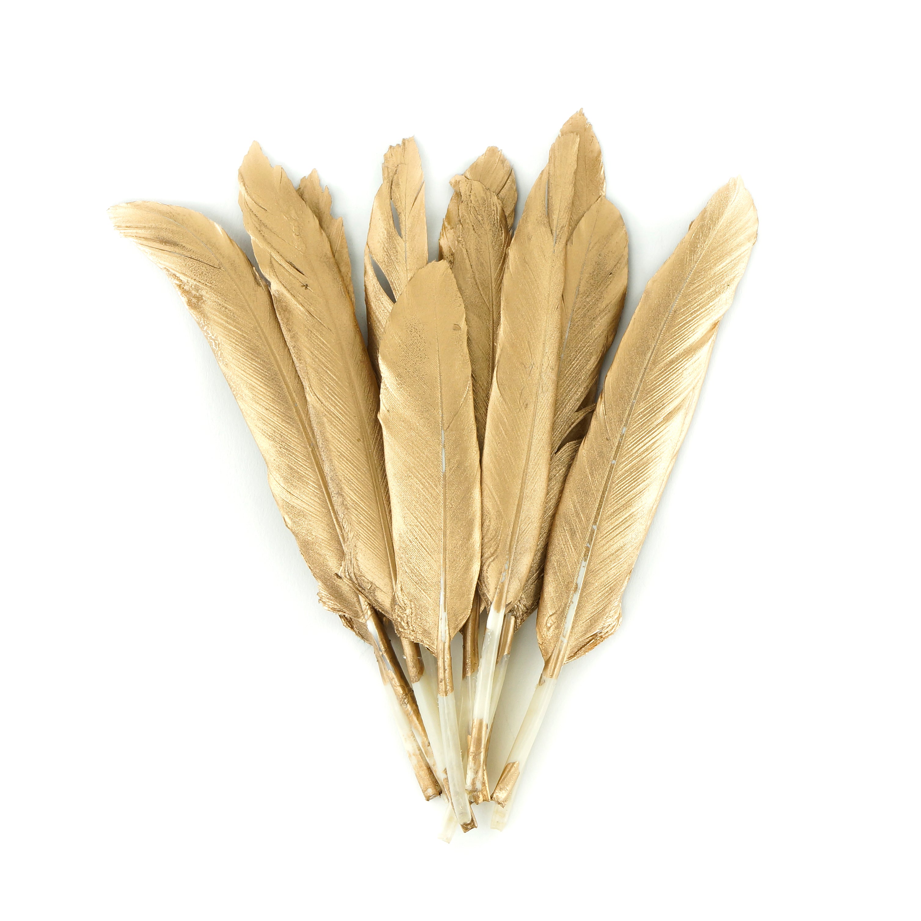 Black feather plume with gold streamers 6-10