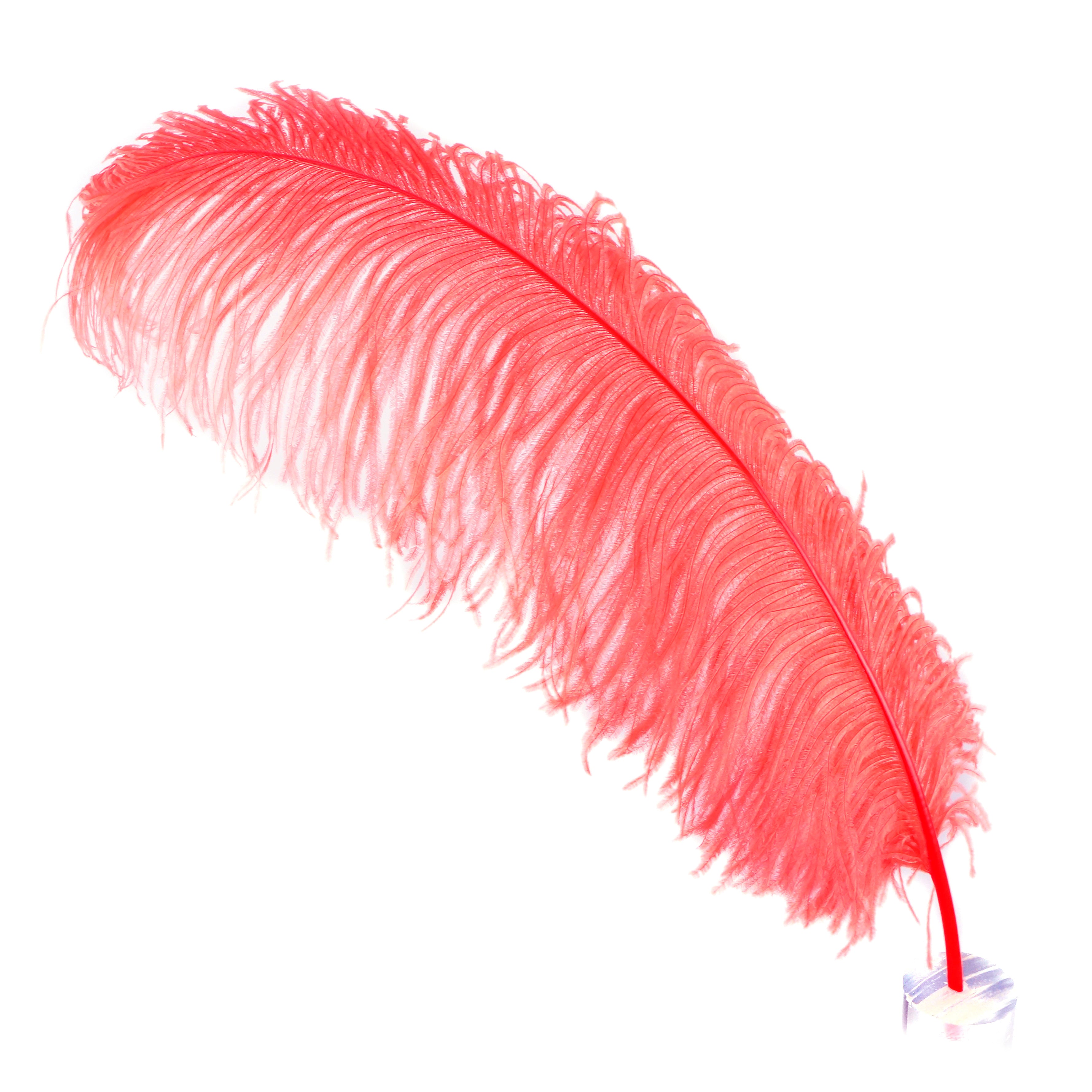 Zucker Ostrich Feather Fan with Prime Ostrich Femina Feathers-Met Gala Potpourri