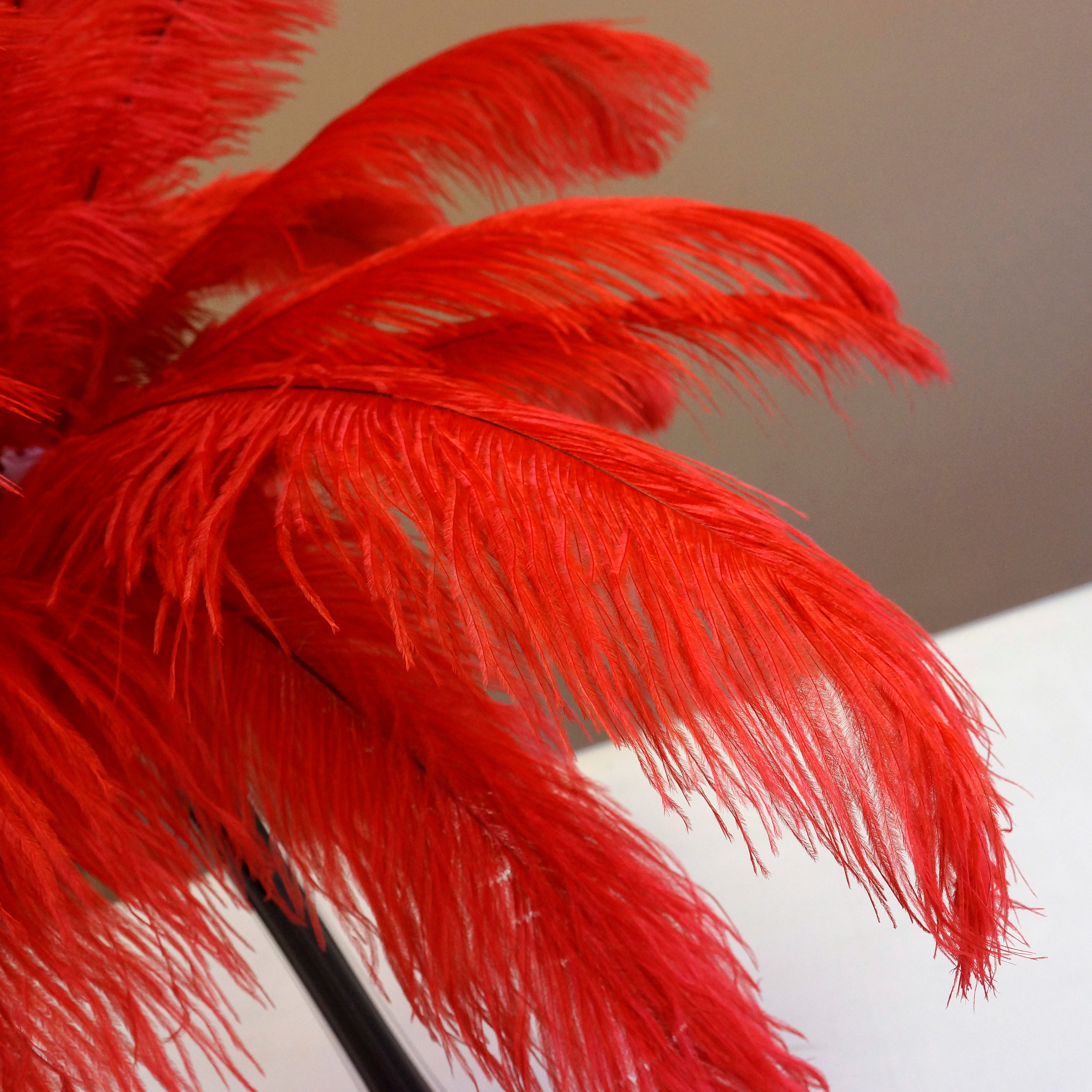 20pcs Various Red Feathers Goose Pheasant Feathers for Crafts Turkey  Marabou Rooster Plume Peacock Ostrich Accessories DIY Decor