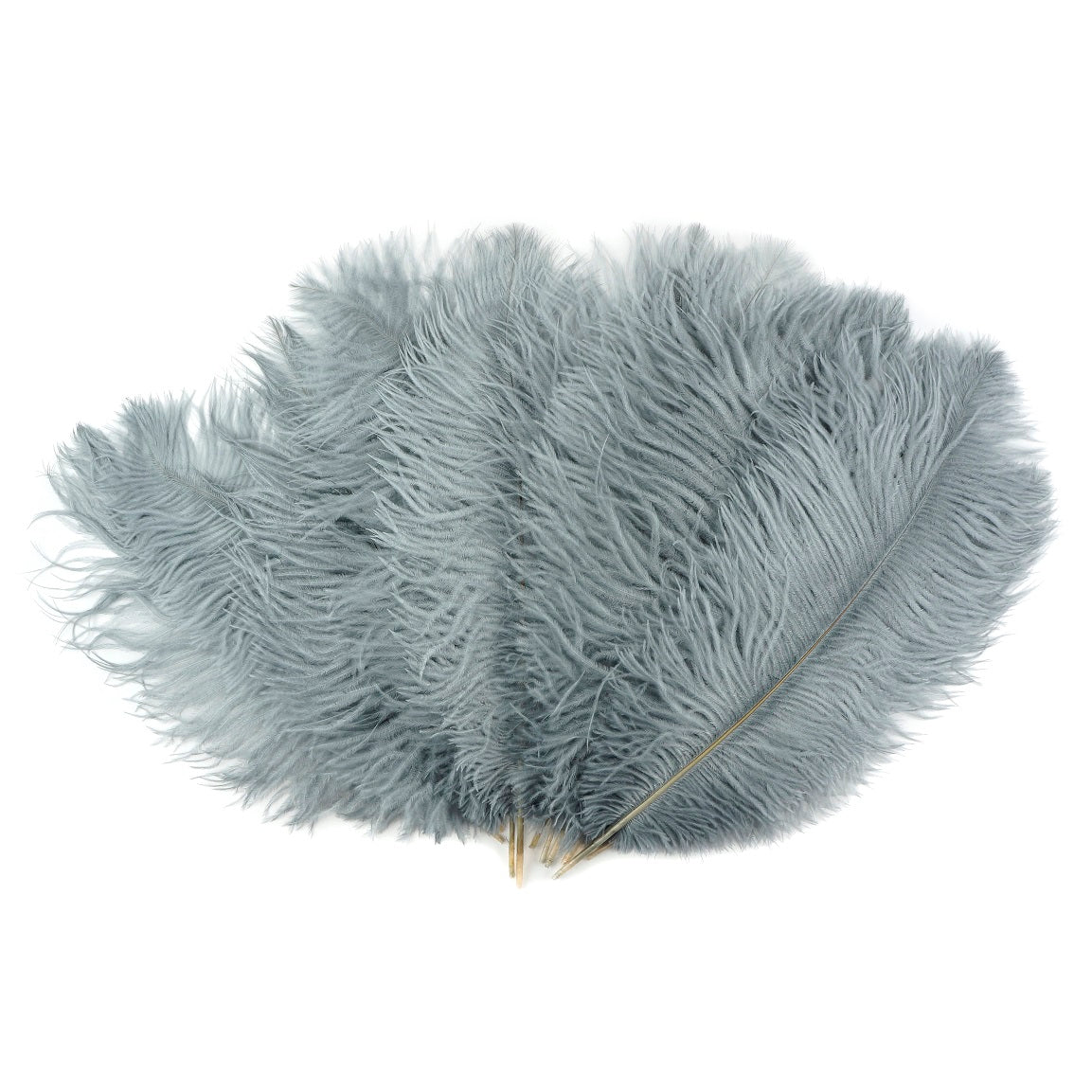 Bulk Ostrich Feathers –  by Zucker Feather Products, Inc.
