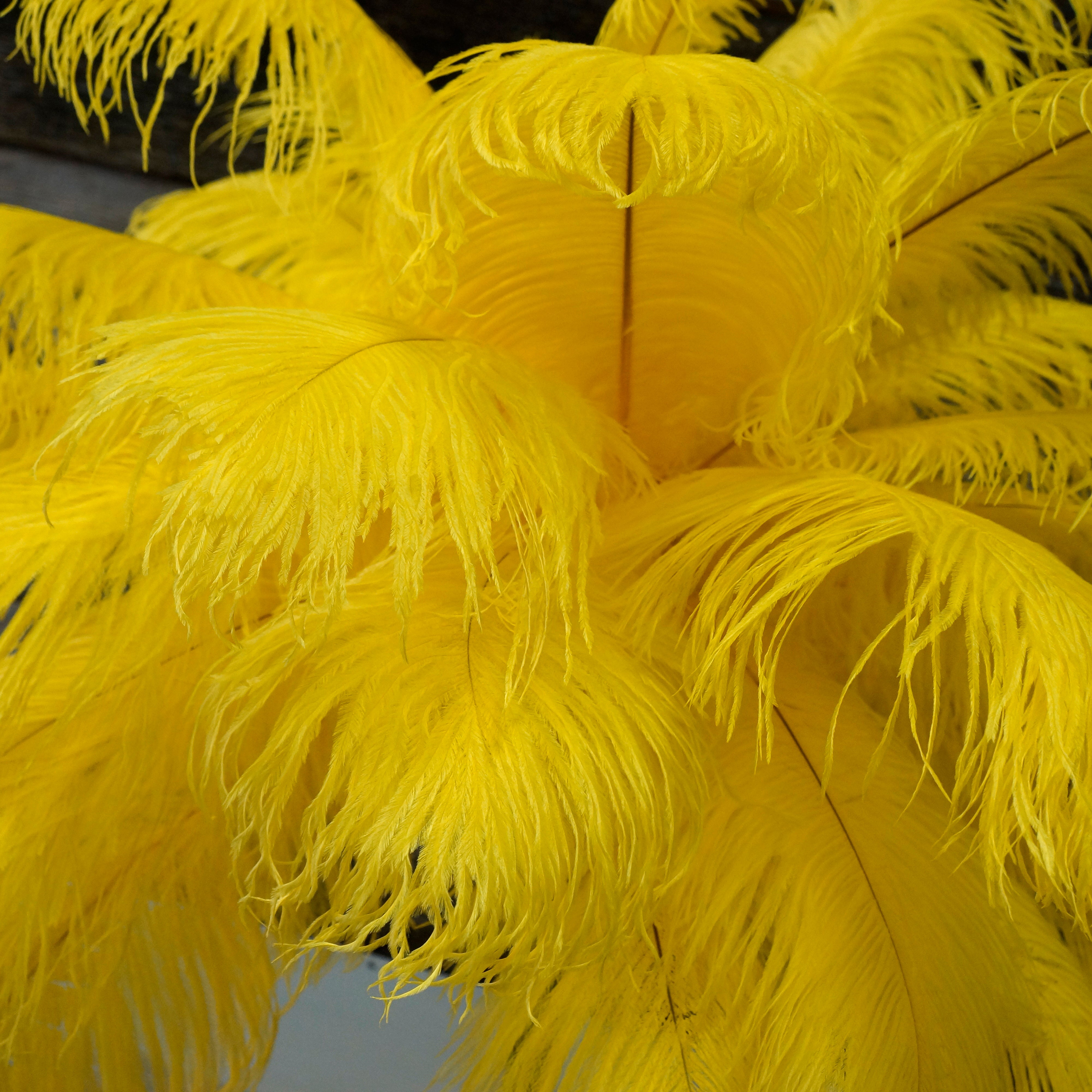 lwingflyer 100pcs Yellow Fluffy Turkey Marabou Feathers 4-6 Inches