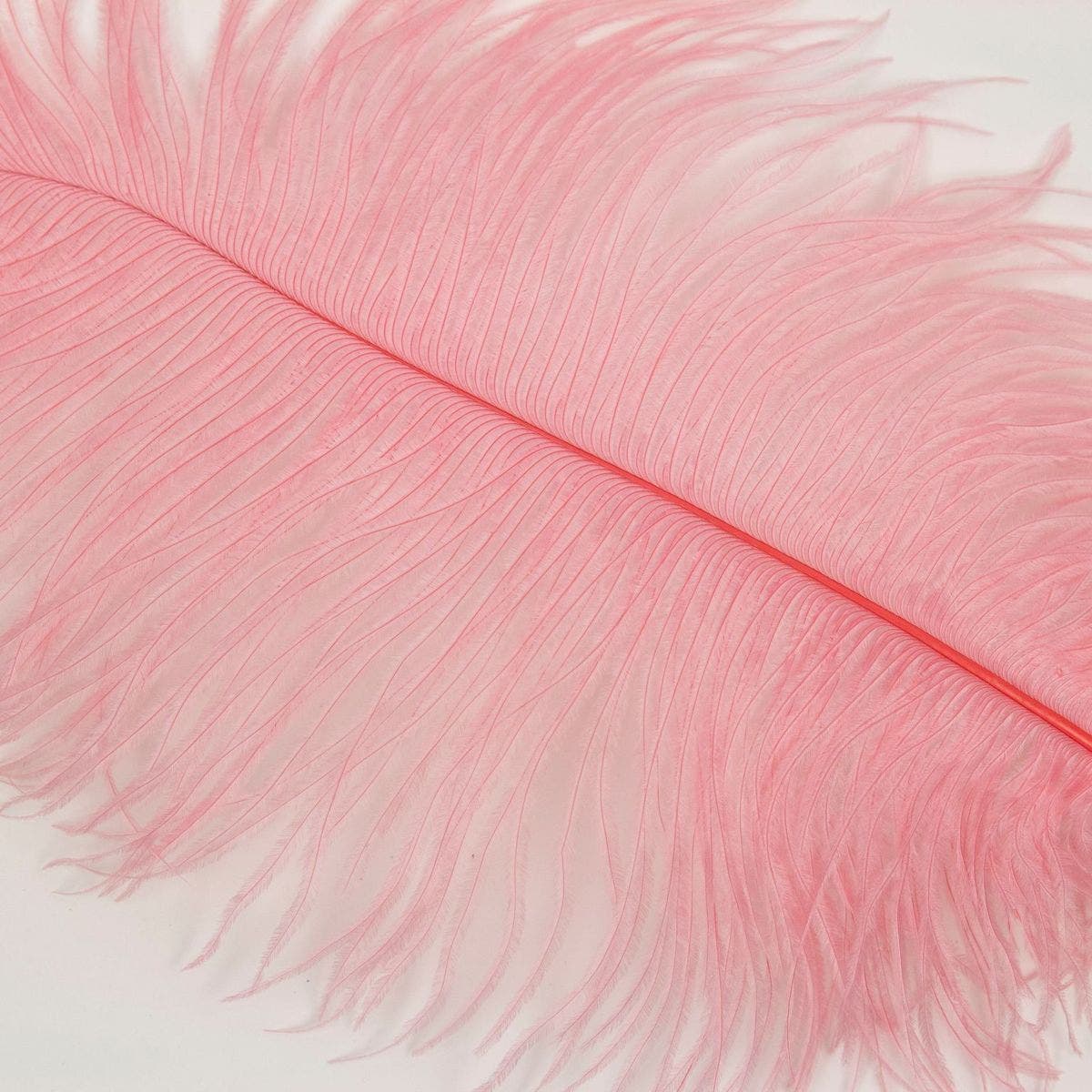 Ostrich Tails 16-18 inch - 30 PC - MET GALA POTPOURRI