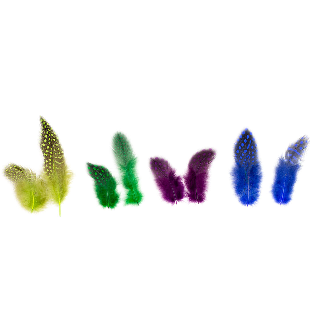 Guinea Hen - Plumage Feathers 1-4" - Mix Dyed Cool Colors