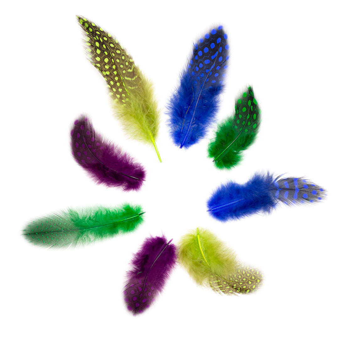 Guinea Hen - Plumage Feathers 1-4" - Mix Dyed Cool Colors