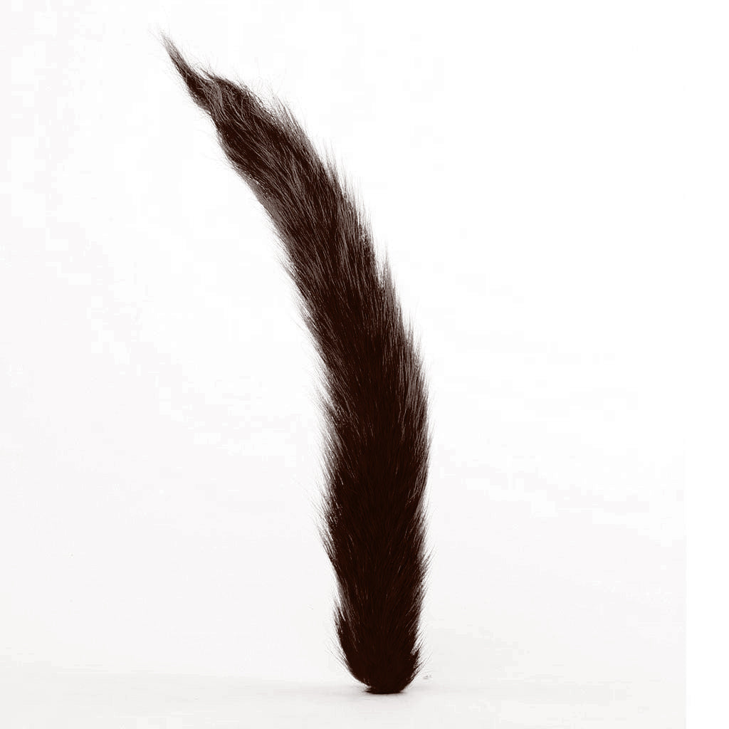 Squirrel Tails; Whole Tails - Rootbeer