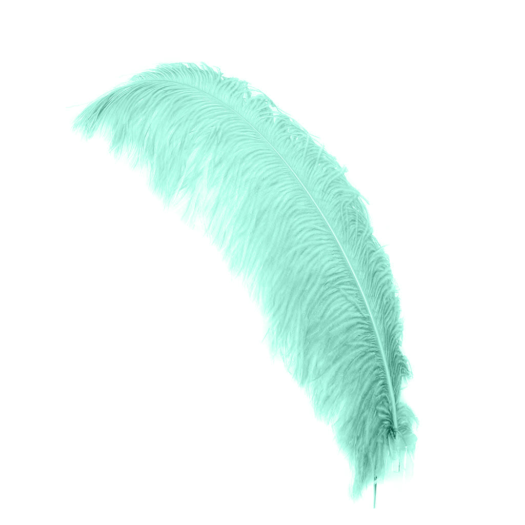 Large Ostrich Feathers - 24-30" Prime Femina Plumes - Mint