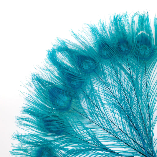 Peacock Feathers | 8-15" Tail Eyes | Light Turquoise (Bulk)