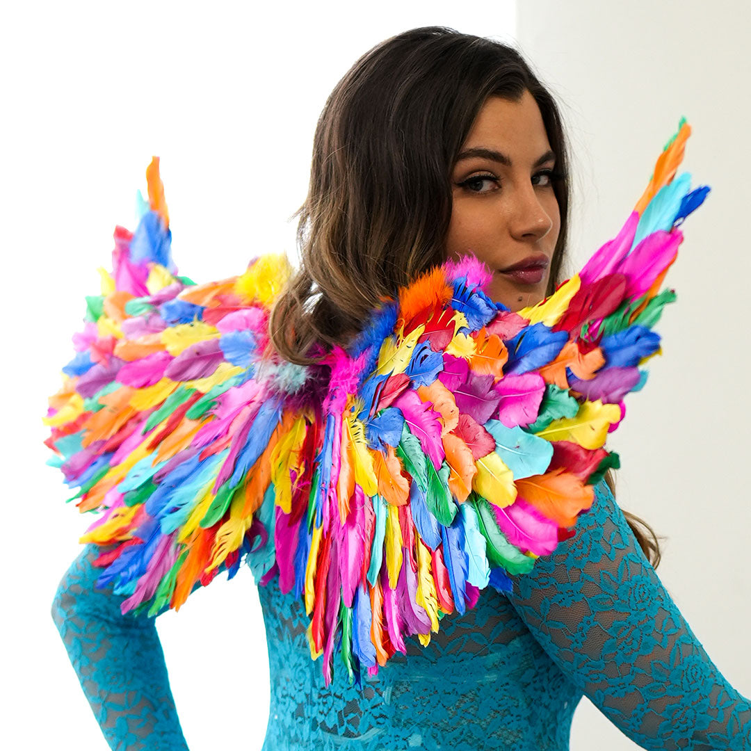 Bright Rainbow Fairy Wings