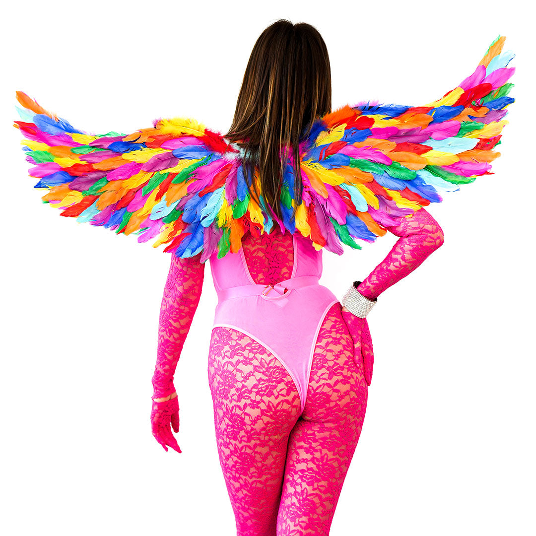 Bright Rainbow Fairy Wings