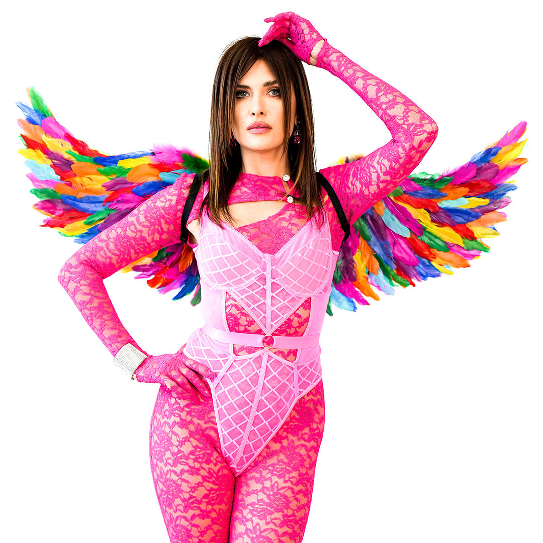 Bright Rainbow Fairy Wings