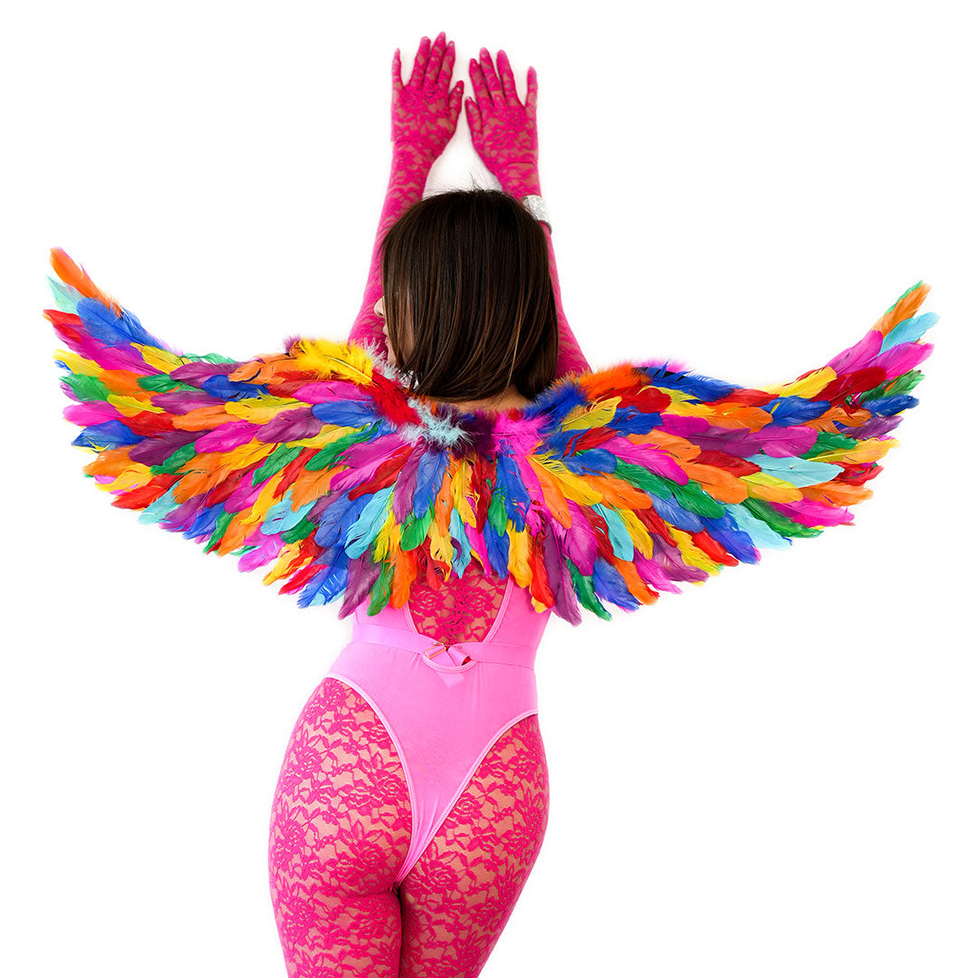 Bright Rainbow Fairy Wings