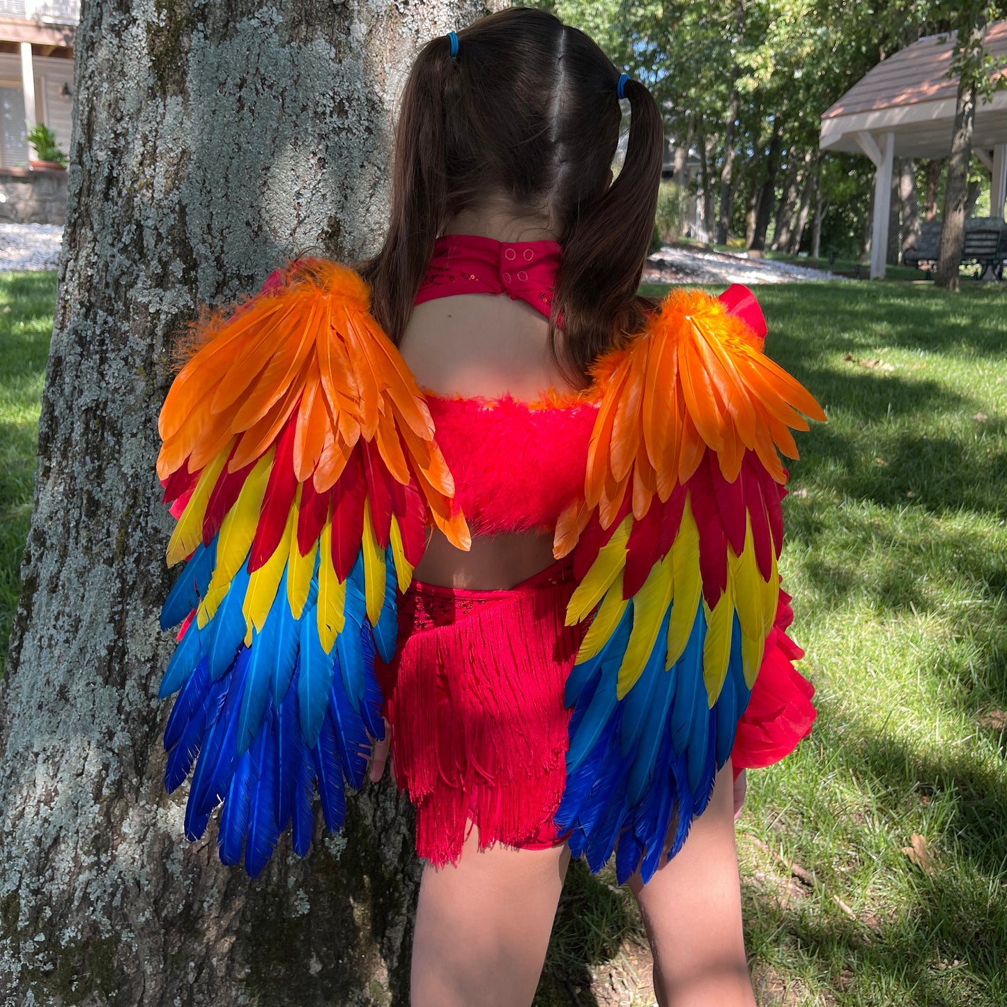 Scarlet Macaw Costume Feather Wings