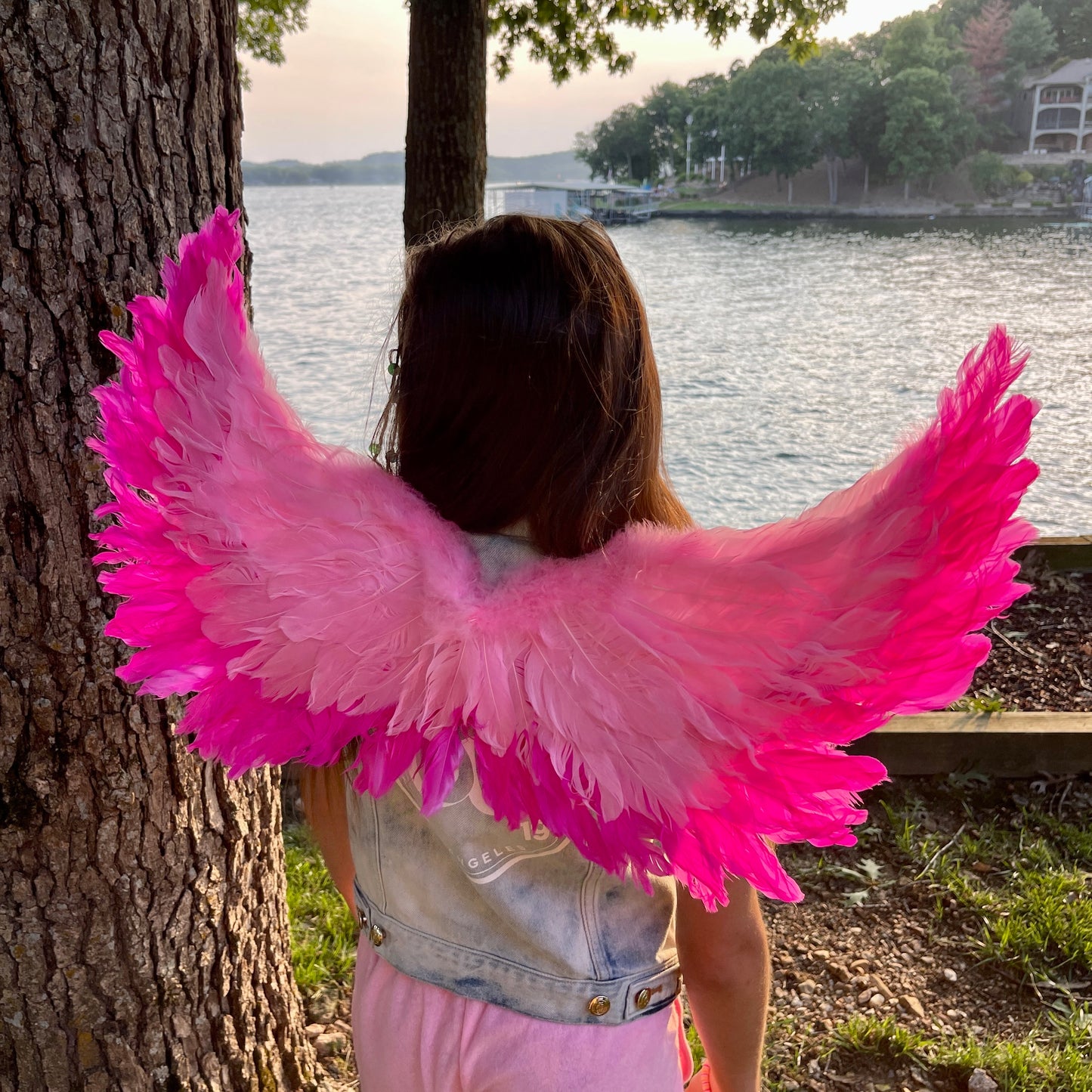 Small Two-tone Pink Wings