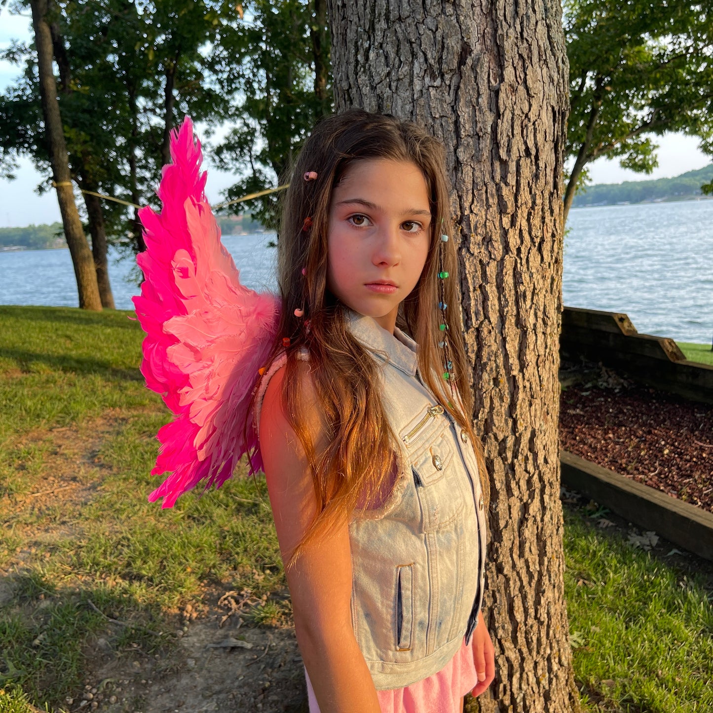 Small Two-tone Pink Wings