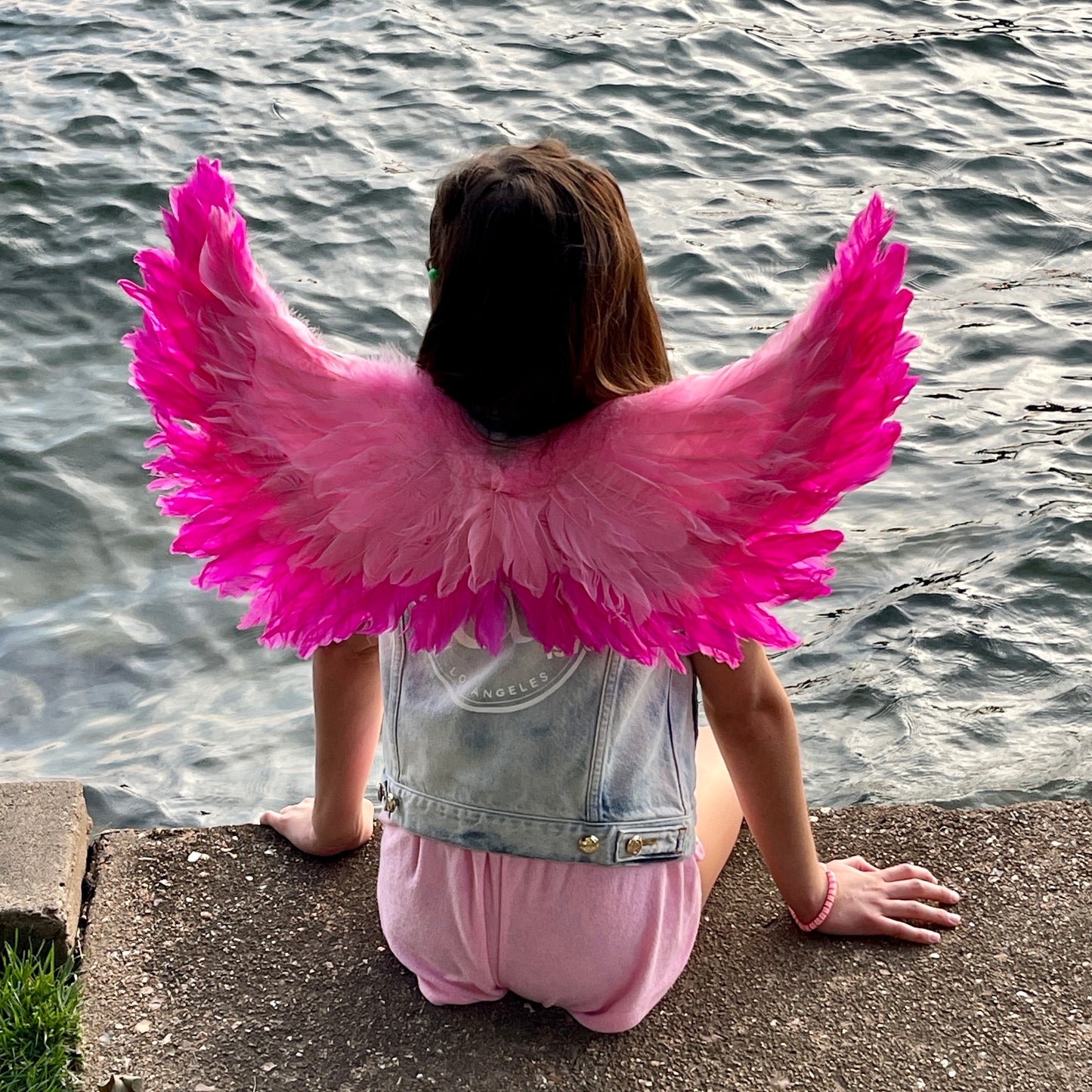 Small Two-tone Pink Wings