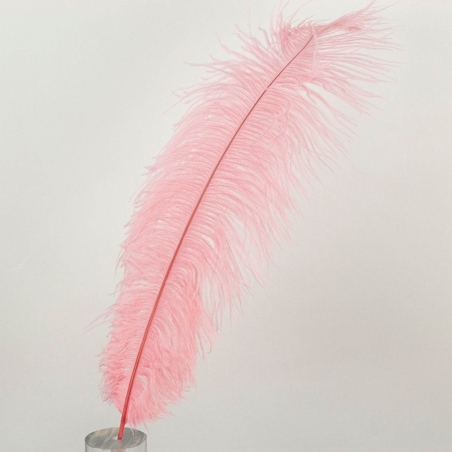 Large Ostrich Feathers - 17"+ Drabs - Met Gala Potpourri