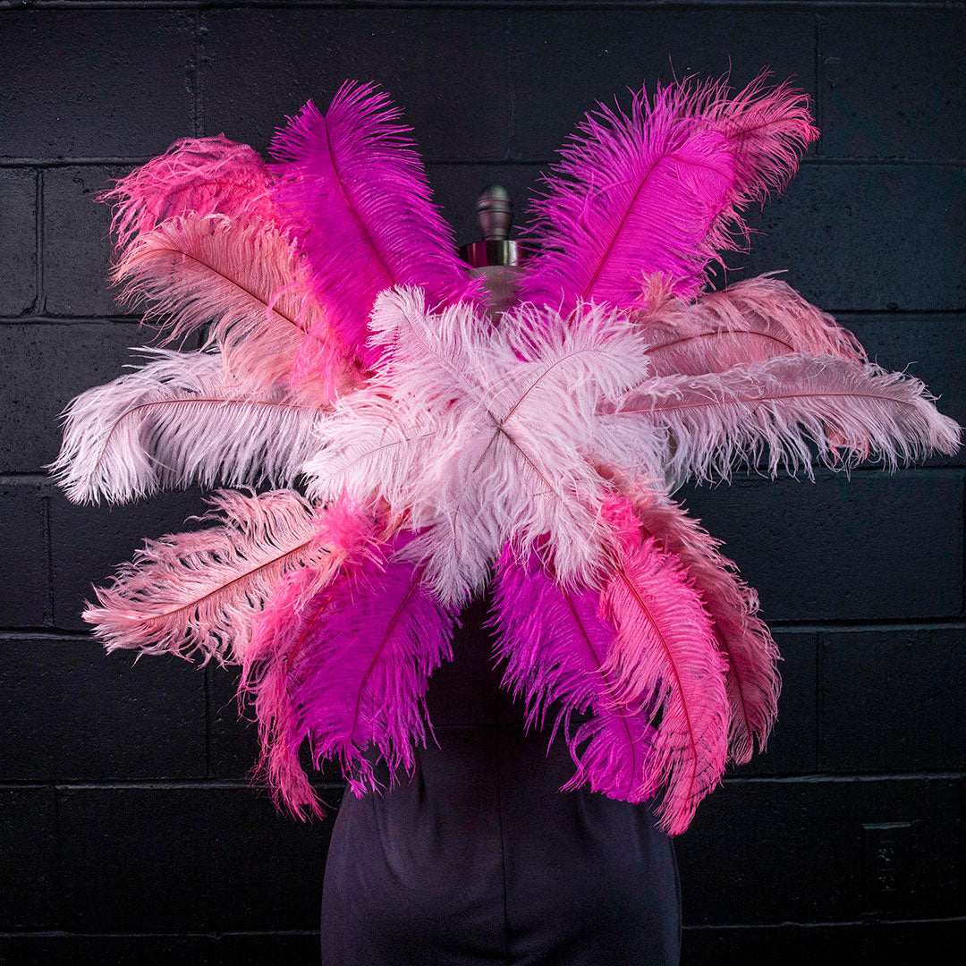 Medium Upcycled Ostrich Feather Costume Wings - Flamingo