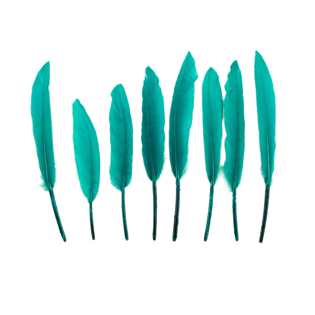 Duck Cosse Feathers - 3 - 6"-Dark Aqua