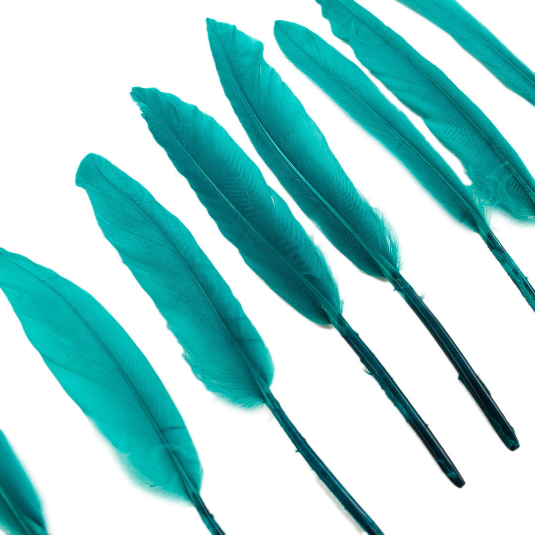 Duck Cosse Feathers - 3 - 6"-Dark Aqua