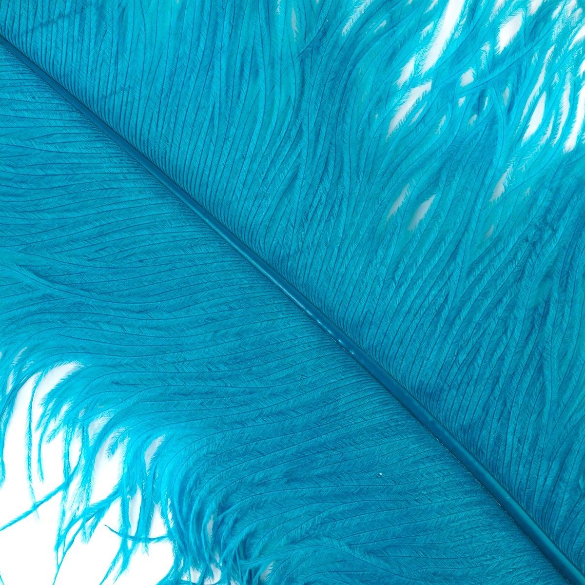 Ostrich Prime Femina Feathers - 6pc - 17 - 25 Inches - Dark Aqua