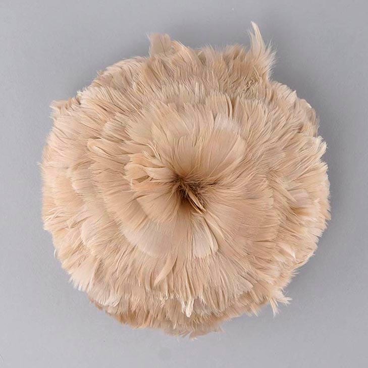 Goose Coquille Feathers Dyed Beige