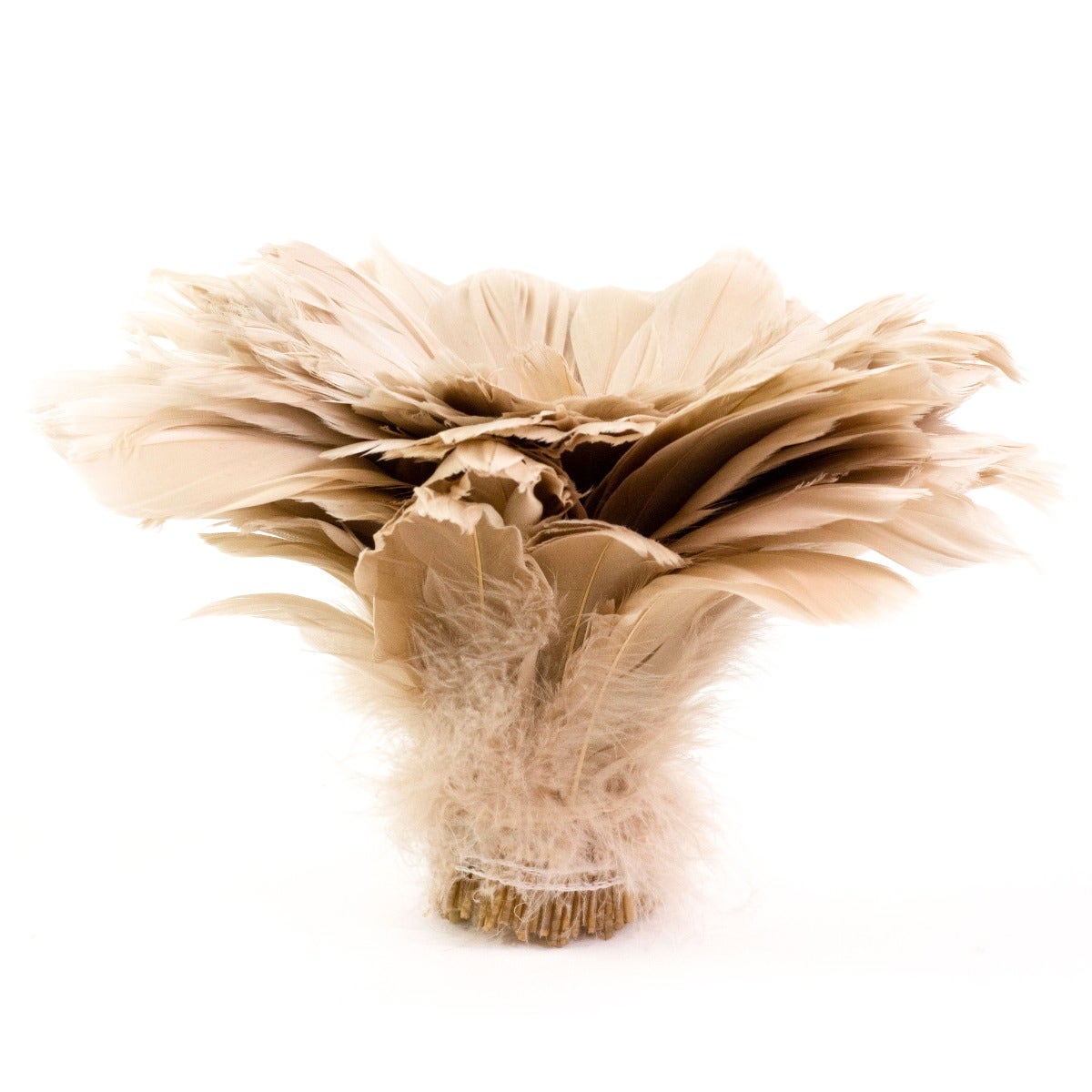 Goose Nagorie Dyed Feathers -Beige