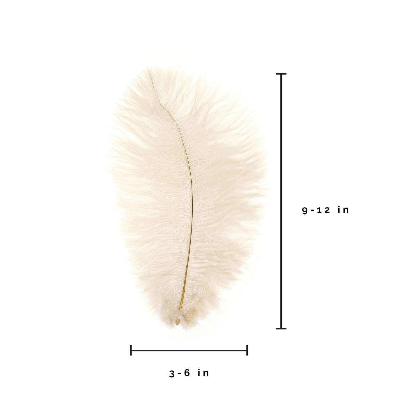 Ostrich Feathers 9-12" Drabs -  Beige