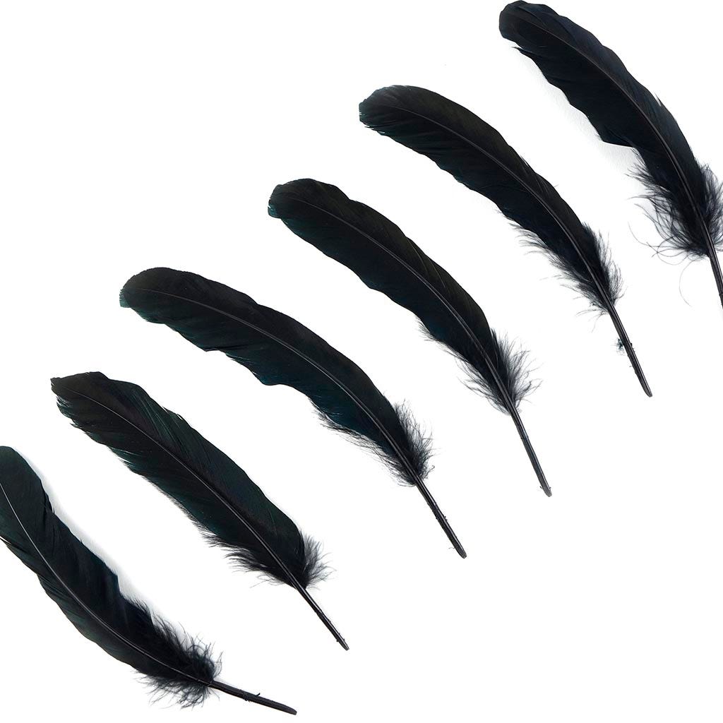 Goose Favion Feathers - Black - Iridescent