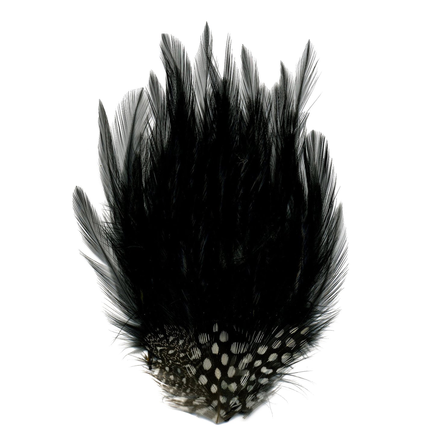 Hackle-Guinea Small Feather Pad - Black Natural
