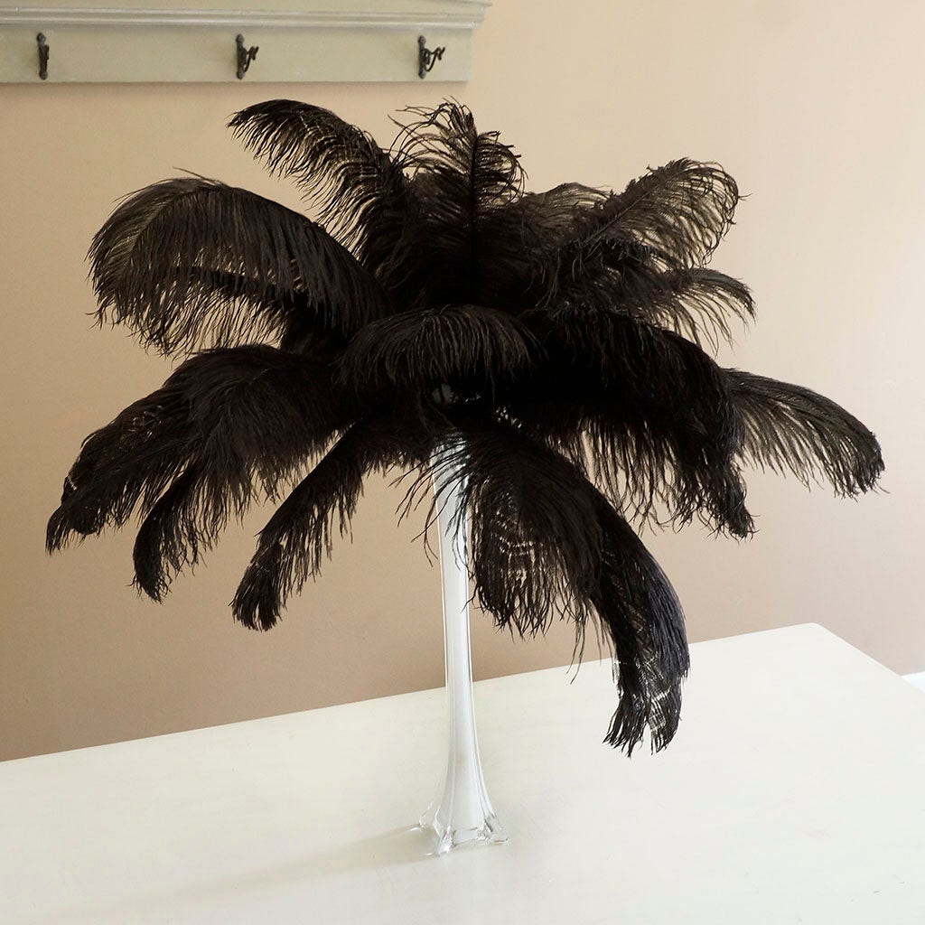 Large Ostrich Feathers - 17"+ Drabs - Black