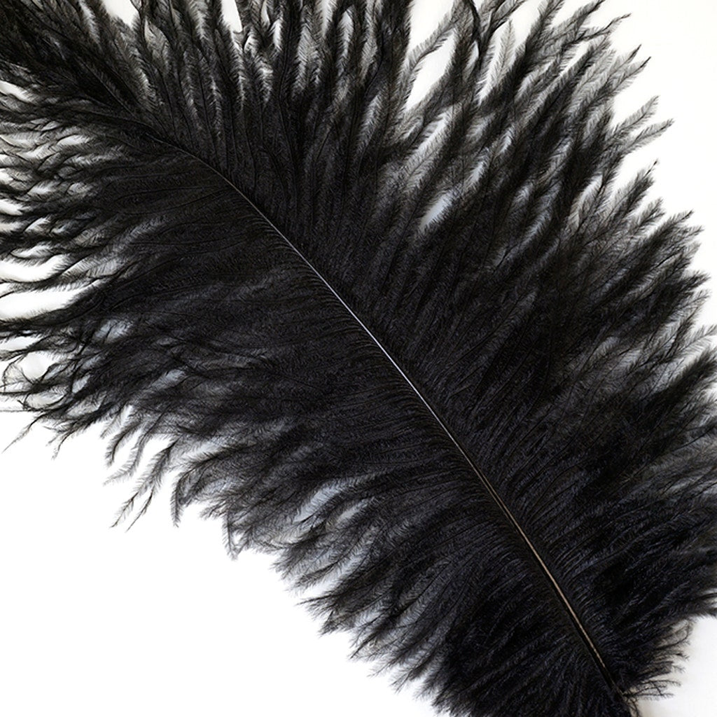 Ostrich Feathers 9-12" Drabs -  Black