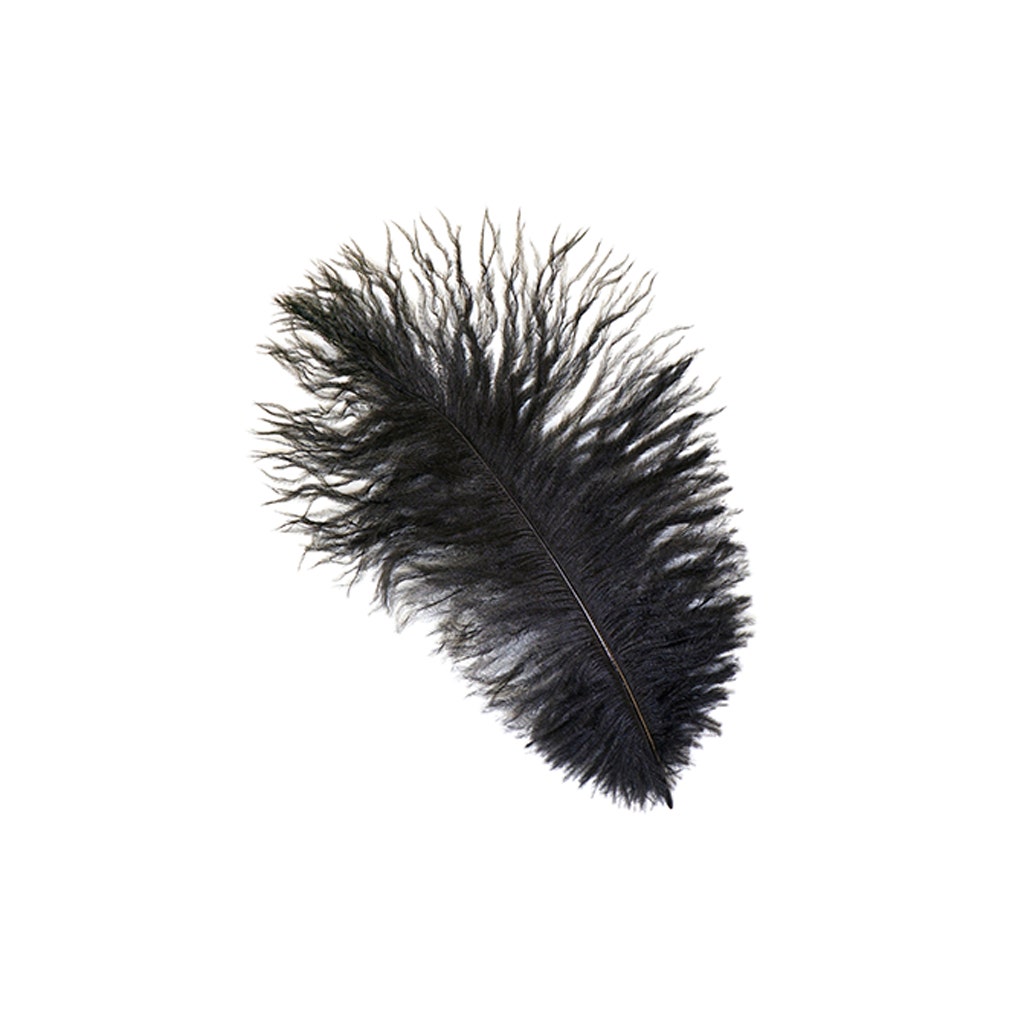 Ostrich Feathers 9-12" Drabs -  Black