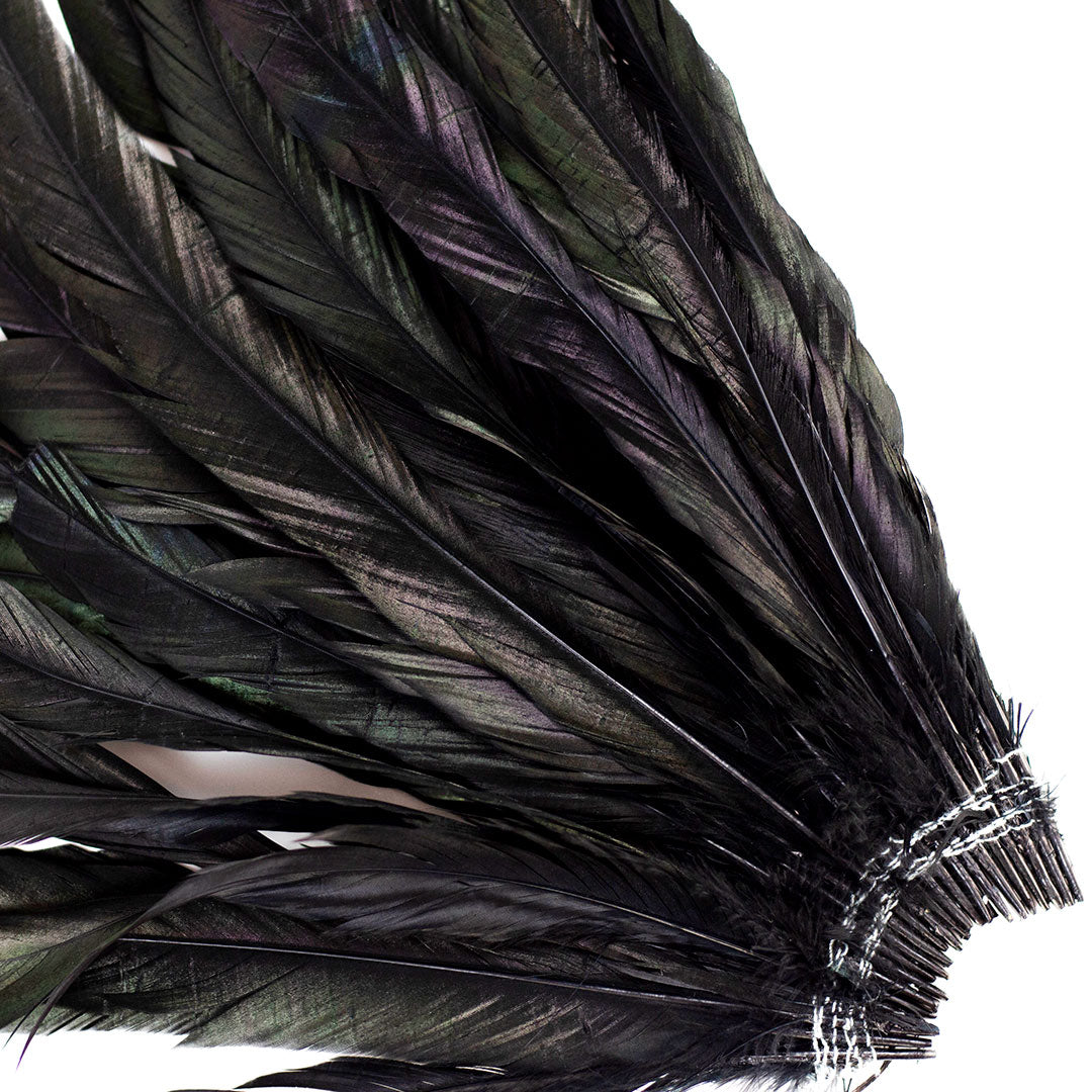 Ostrich Feather Tail Plumes 15-18