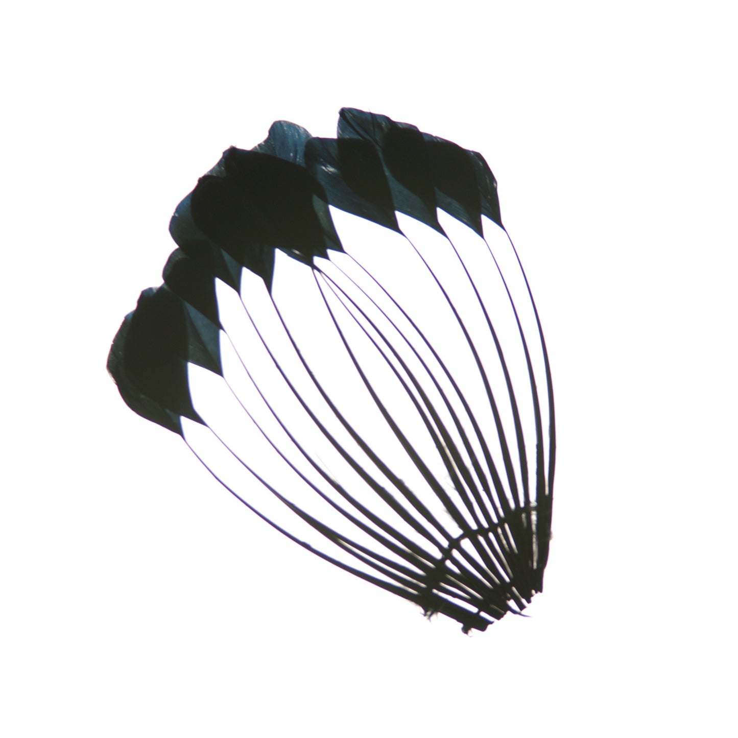 Duck Stripped Center Fan Trim - Black