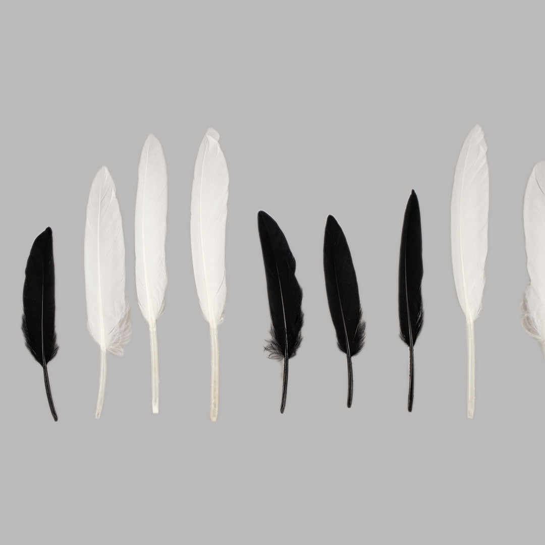 Black and White Indian Feathers - 24 pcs.