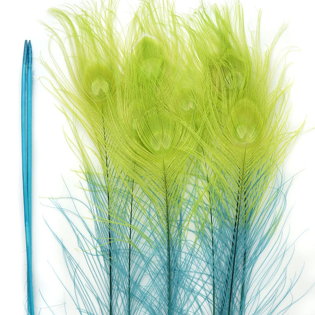 Peacock Eyes Bleached/Dyed & Tipped Feathers - 25-40 Inch - 10 PCS - Fl Blue - Lime