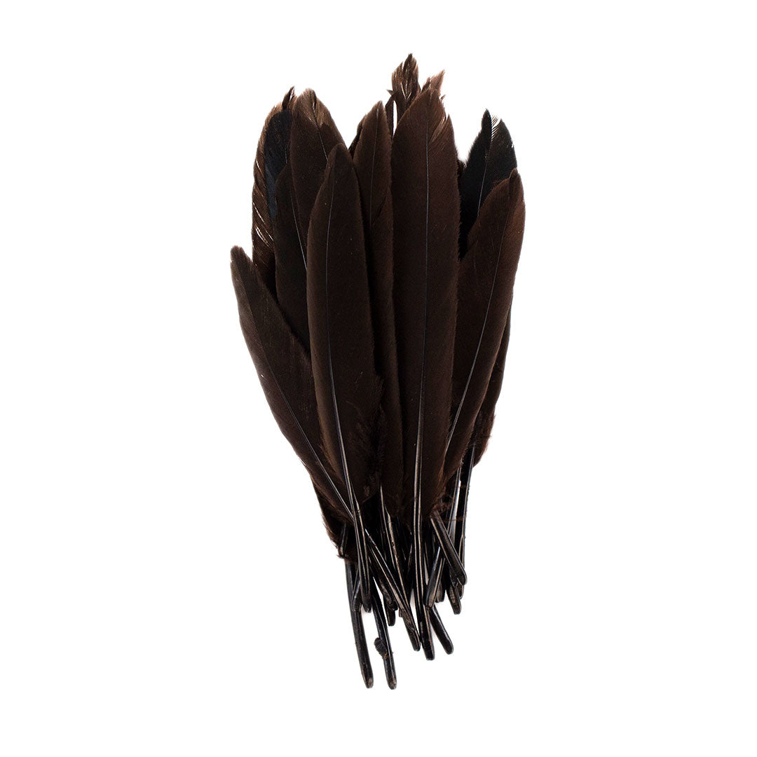 Duck Cosse Feathers - 3 - 6"-Brown