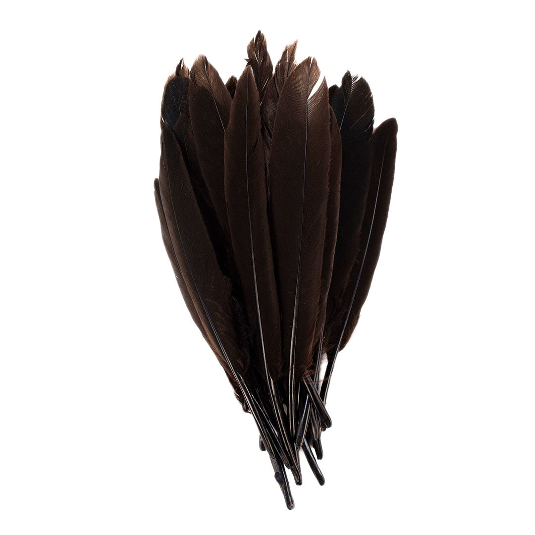Duck Cosse Feathers - 3 - 6"-Brown