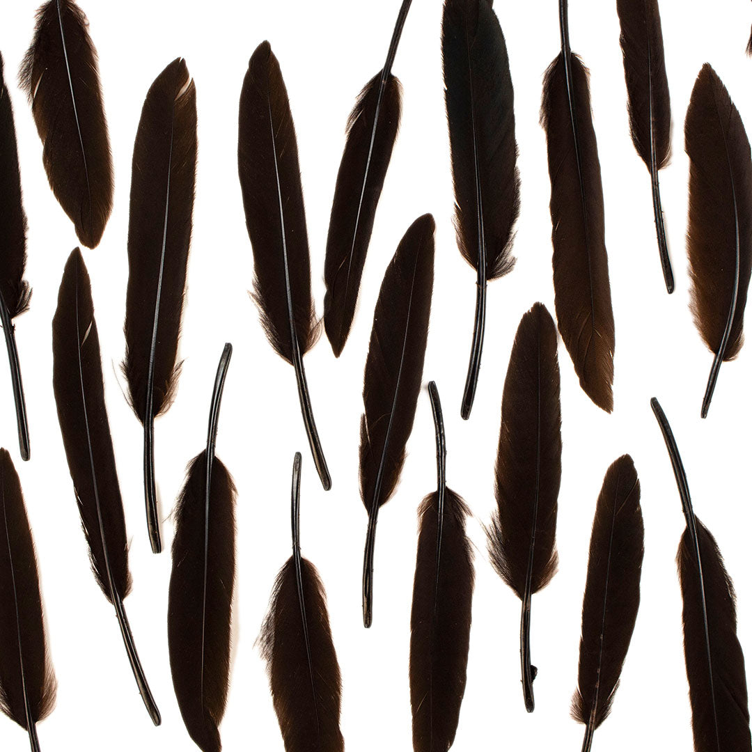 Duck Cosse Feathers - 3 - 6"-Brown