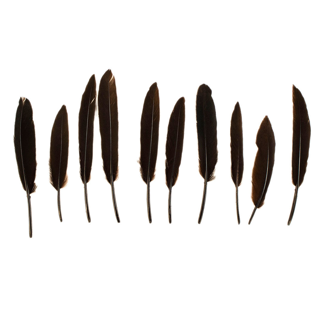 Duck Cosse Feathers - 3 - 6"-Brown