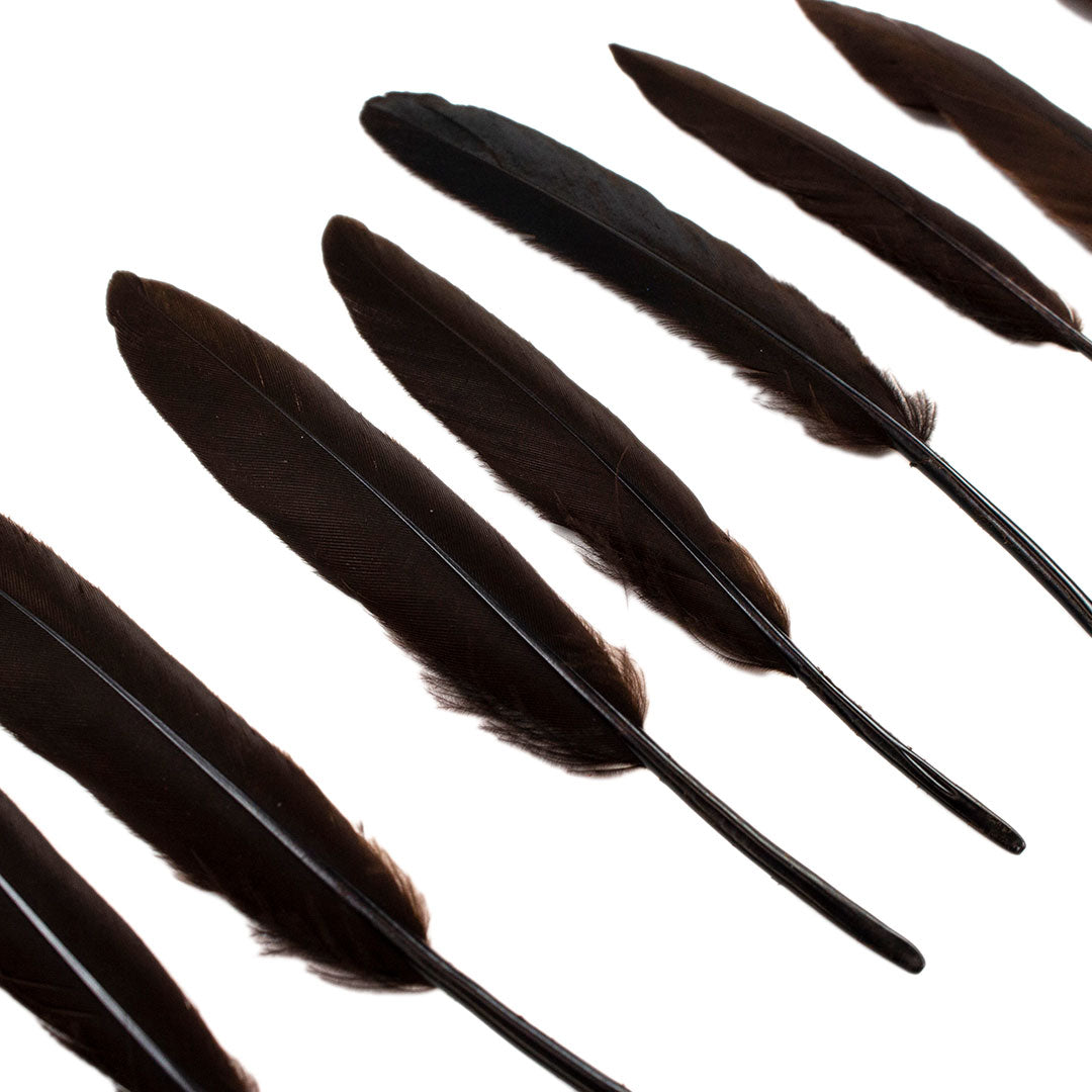 Duck Cosse Feathers - 3 - 6"-Brown