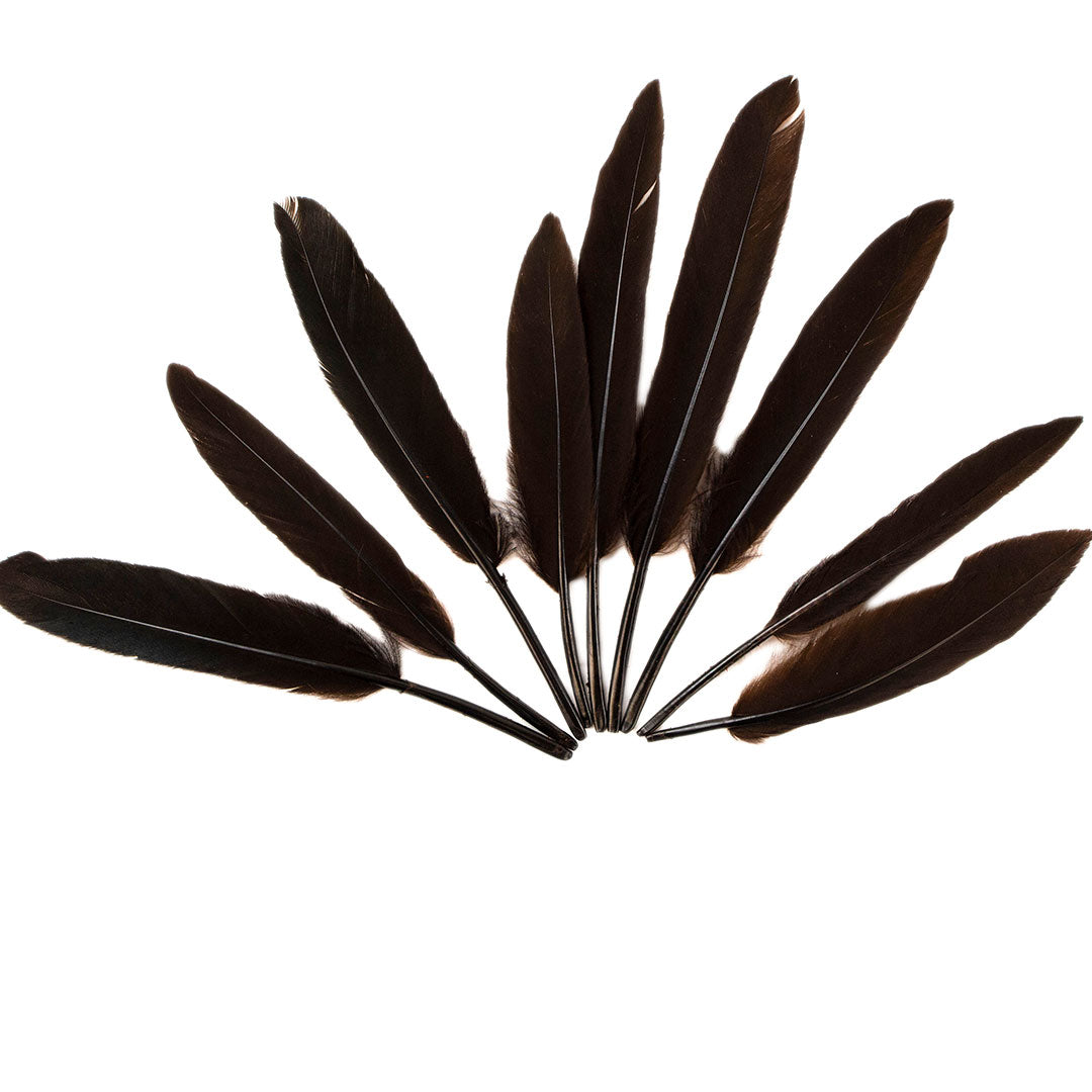 Duck Cosse Feathers - 3 - 6"-Brown