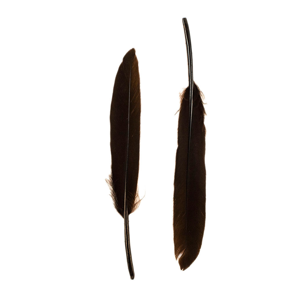 Duck Cosse Feathers - 3 - 6"-Brown