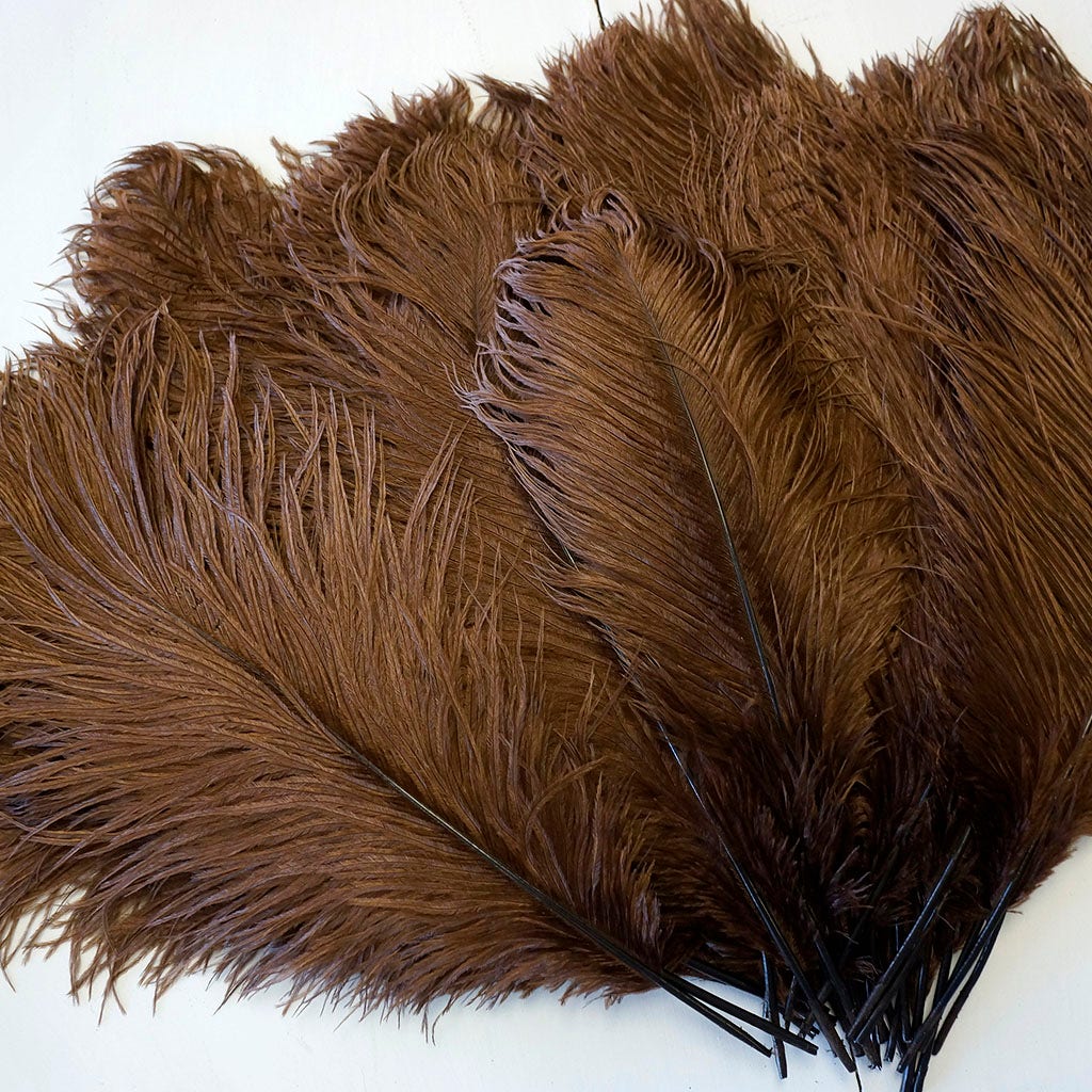 Large Ostrich Feathers - 17"+ Drabs - Brown