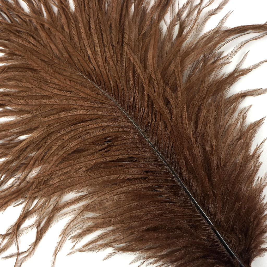 Ostrich Feathers 9-12" Drabs -  Brown