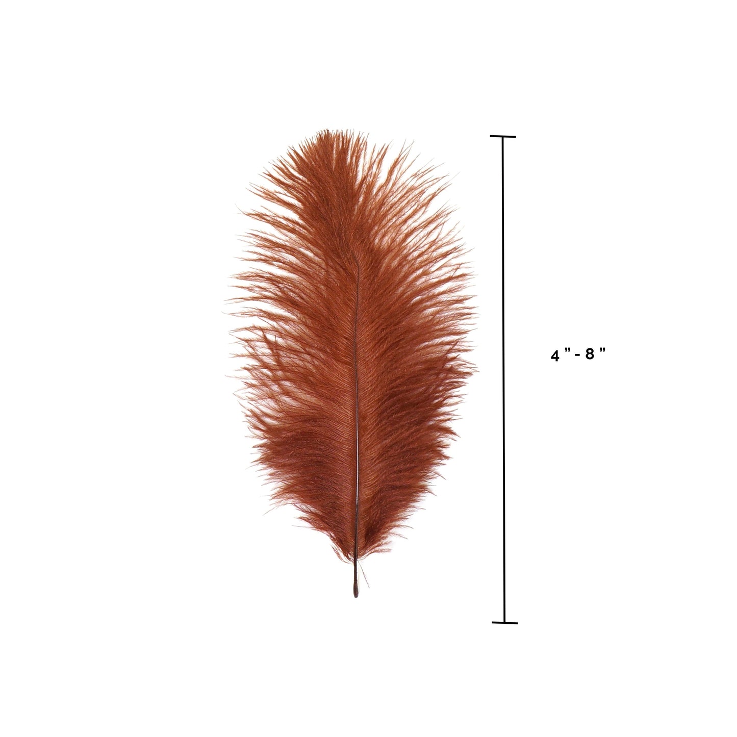 Ostrich Feathers 4-8" Drabs - Copper