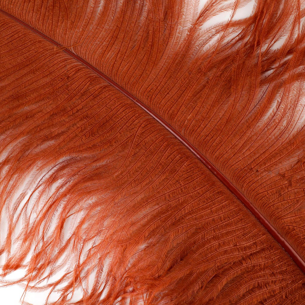Large Ostrich Feathers - 24-30" Prime Femina Plumes - Copper