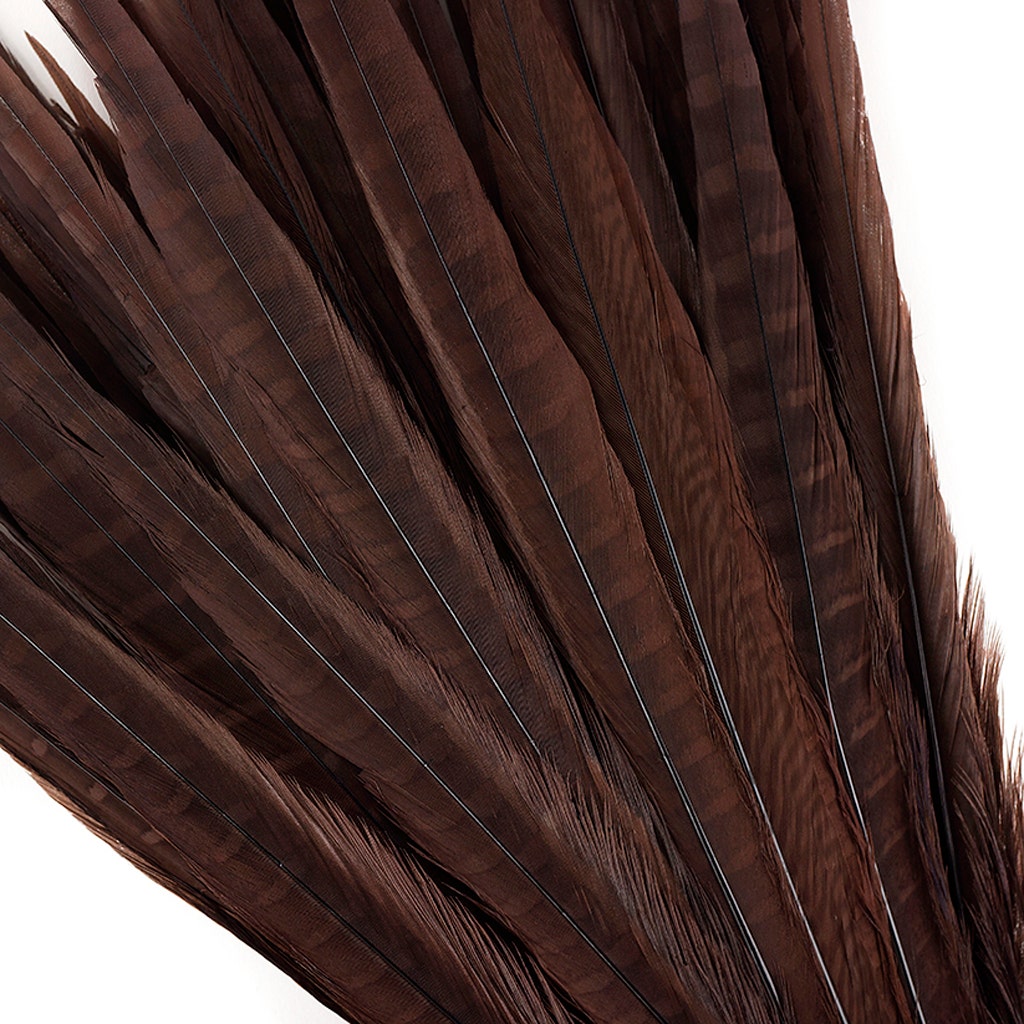 Bulk Assorted Pheasant Tails Dyed - Brown